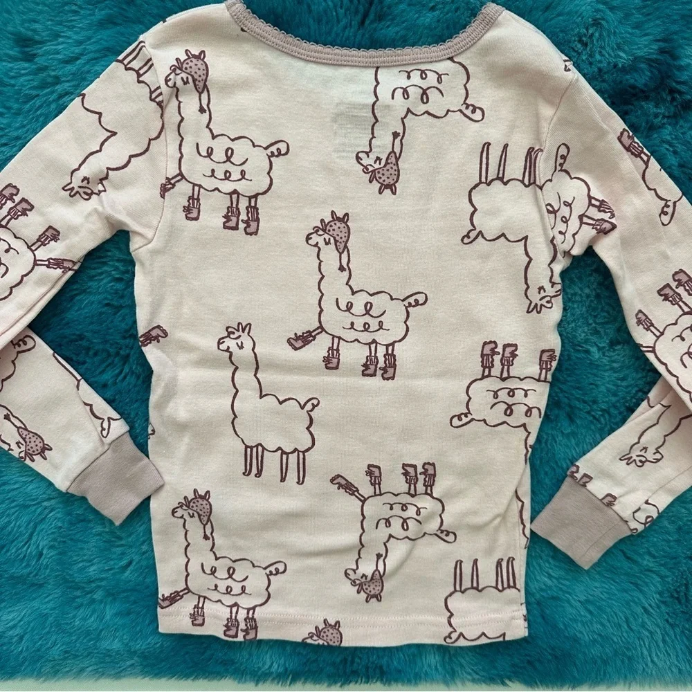 Carter’s Toddler Girl Long Sleeve Pajama Set Size 5T